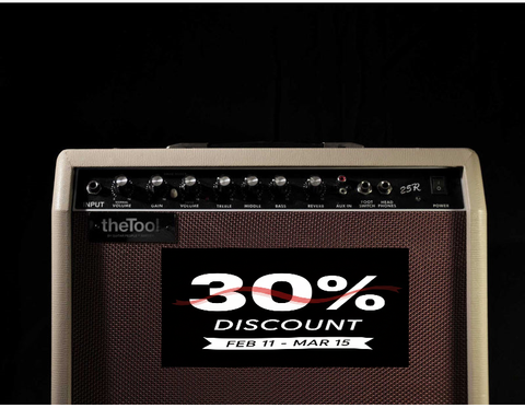 theTool™ Amp 25